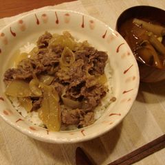A picture of Tender Beef Rice Bowl.