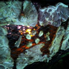 A picture of semi-grilled pork steak.