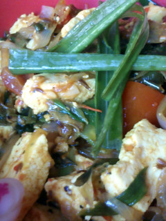 A picture of paneer & spring onions.