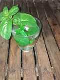 Agua con menta