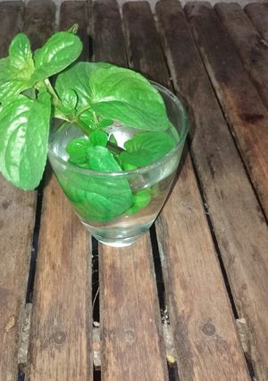 Una foto de Agua con menta