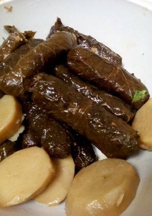 A picture of Stuffed vine leaves.