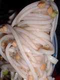 Refreshing! Slippery! Umeboshi-Natto Soba Noodles