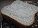rice flour sandwich bread