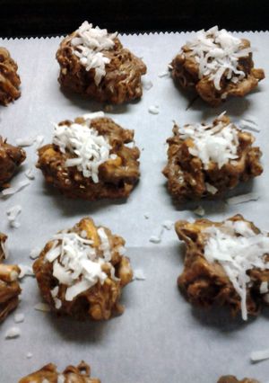 A picture of Sweet and Salty Chocolate Pretzel Bites with Coconut.