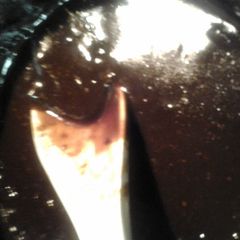 A picture of balsamic apricot dressing.