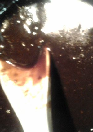 A picture of balsamic apricot dressing.