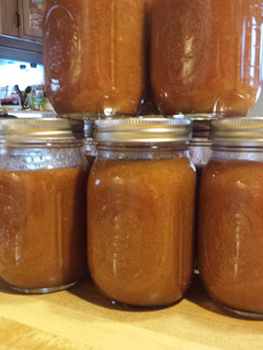 A picture of Medium/Hot Resturant style Salsa..
