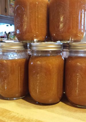 A picture of Medium/Hot Resturant style Salsa..