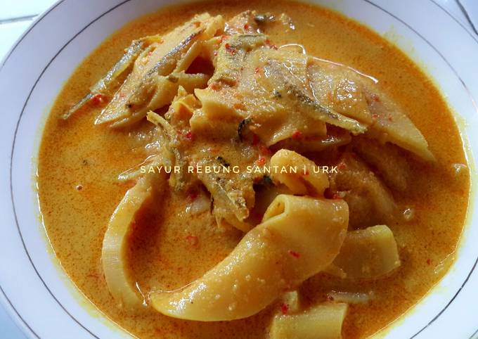 Yuk intip, Bagaimana cara bikin Sayur Rebung Santan yang sedap