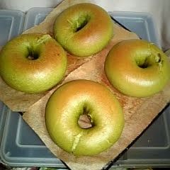 A picture of Matcha Bagels.