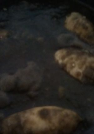 Foto principal de Chipirones en su tinta