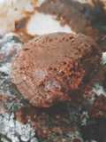 ไอศกรีมช็อกโกแลตซอร์เบท์ จากน้ำต้มถั่วลูกไก่ ไซรัปซังขนุน