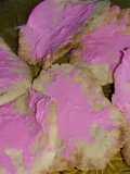 Kriuk strawberry