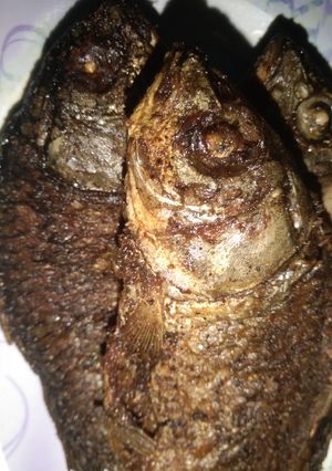 Foto resep Ikan mas goreng