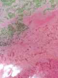 Foot Scrubbing and Washing Powder