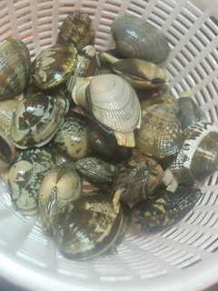 A picture of How To Quickly Remove Sand From Manila Clams.