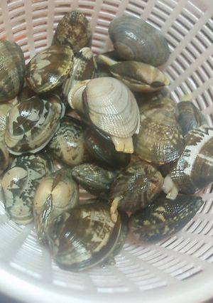 A picture of How To Quickly Remove Sand From Manila Clams.