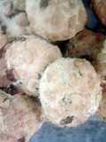 Pearl cakes