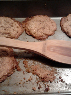 A picture of easy to make peanut butter cookies.