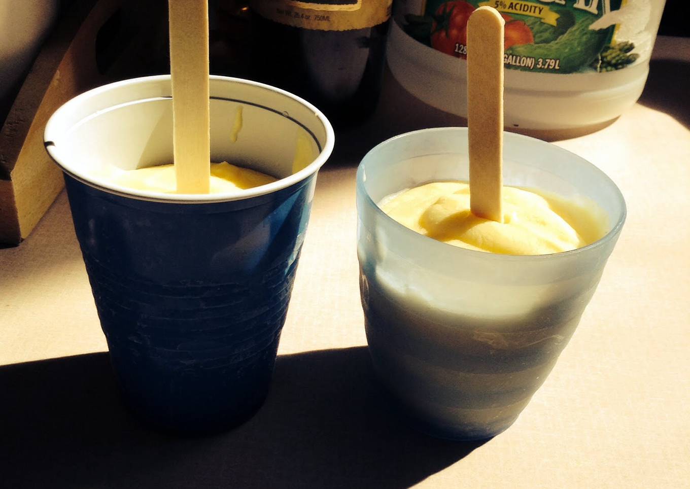 Coconut Pudding Pops