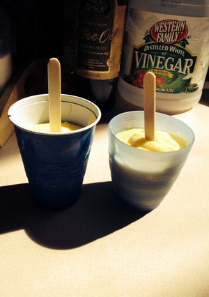 A picture of Coconut Pudding Pops.