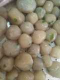 Cilok Jando