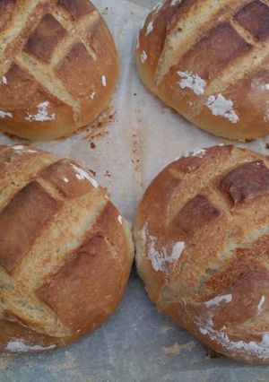 Foto principal de Pan casero en horno de leña muy fácil
