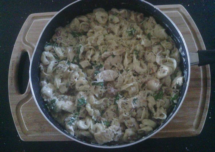 Recipe of Favorite CHICKEN BACON CHEESE TORTELLINI