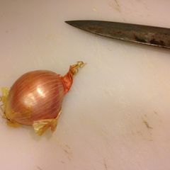 A picture of How to Mince a Shallot.