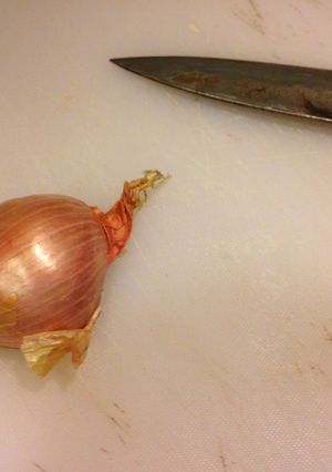 A picture of How to Mince a Shallot.