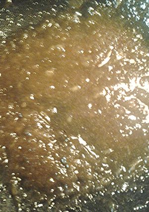 A picture of Simple banana ketchup.