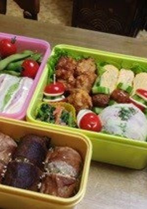 A picture of Bento For Cherry Blossom Viewing Picnics 2013.