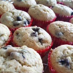 A picture of Mini blueberry muffins.