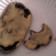 A picture of Pumpernickel Cheesemelt.