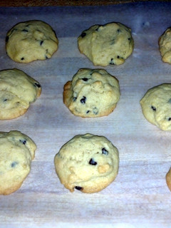 A picture of chocolate chip cookies.