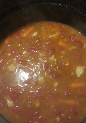 A picture of Jame's southwestern stew.