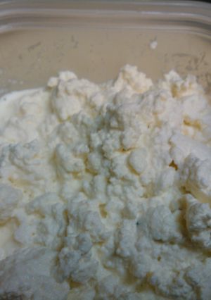 A picture of Cottage Cheese.