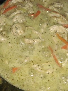 A picture of Thai chicken green curry.
