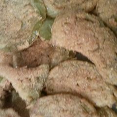 A picture of Fried Green Tomatoes.