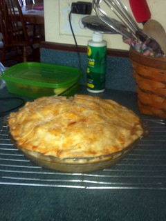 A picture of Double Pie Crust, Flaky, and very good.
