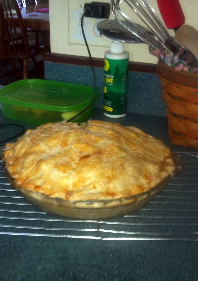 A picture of Double Pie Crust, Flaky, and very good.