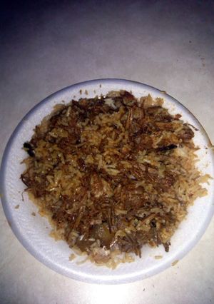 A picture of Barbeque pulled pork over rice.