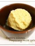 Macrobiotic ☆ Maple Tofu Ice Cream