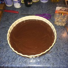 A picture of Absolutely Brownie.