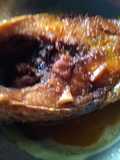 Hilsha fry