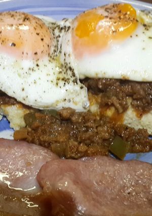 A picture of Savoury mince.