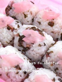 A picture of Cute Cherry Blossom Rice-Ball Barrels for Hanami Bento.