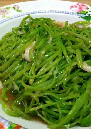 รูปของ ผักบุ้งไทยน้ำมันหอย (สายใยรัก)
