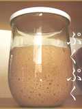 Fizzy Bread Starter using Natural Leaven